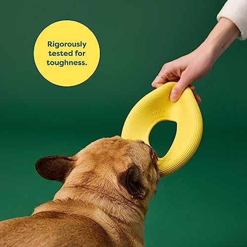 Earth Rated Flying Disc Dog Toy, Small