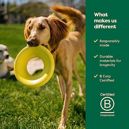 Earth Rated Flying Disc Dog Toy, Small