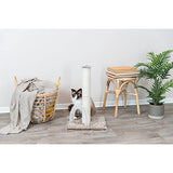 Trixie Pet Products Lola Cat Scratching Post, Pack Of 1