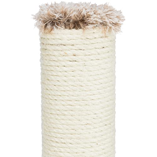 Trixie Pet Products Lola Cat Scratching Post, Pack Of 1