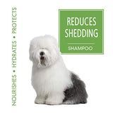 Four Paws Magic Coat Shed Reducing Shampoo, 16 oz.