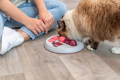Trixie Hide N Slide Cat Activity Toy