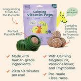Woof Dog Wellness Pops Calming Xlarge 12 oz