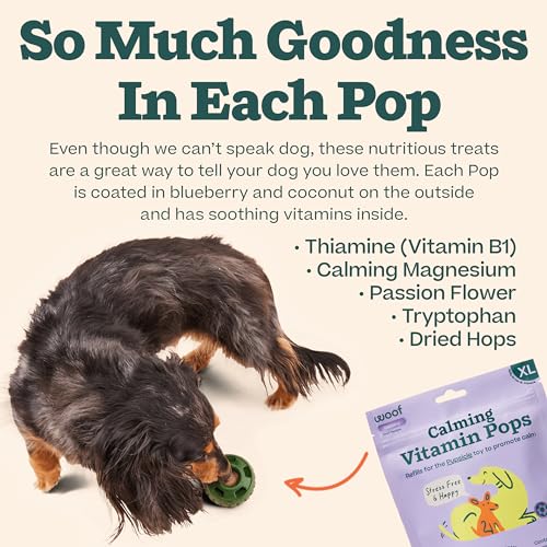 Woof Dog Wellness Pops Calming Xlarge 12 oz