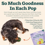 Woof Dog Wellness Pops Calming Xlarge 12 oz