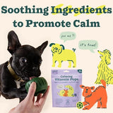 Woof Dog Wellness Pops Calming Xlarge 12 oz
