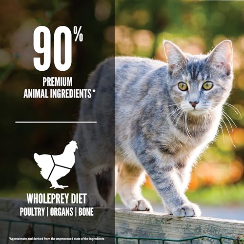 Orijen Original Chicken, Turkey & Fish Dry Cat Food, 7 lbs.