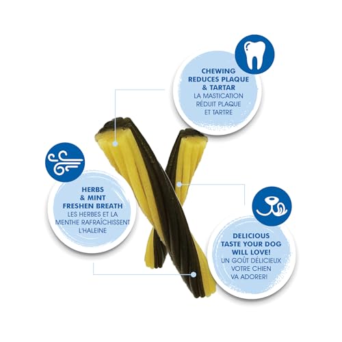 N-Bone Flossta Mint Dental Dog Treats (8 Count)