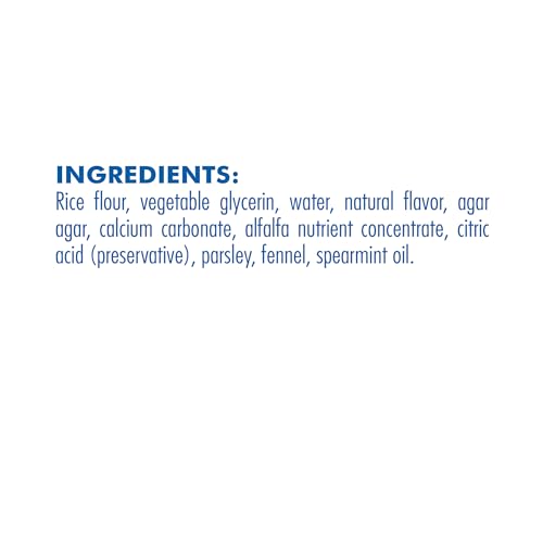 N-Bone Flossta Mint Dental Dog Treats (8 Count)