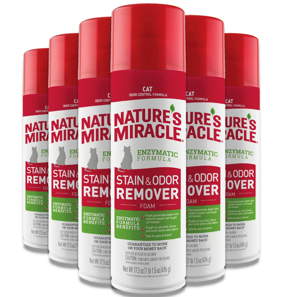 Petcrest Cat Stain & Odor Remover Foam, 17.5 oz.