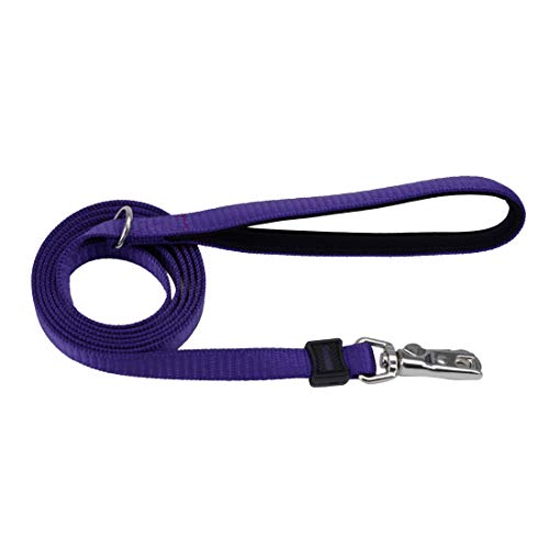 Coastal Inspire Enhanced Core Dog Leash Purple, 5/8 in. x 6 ft.