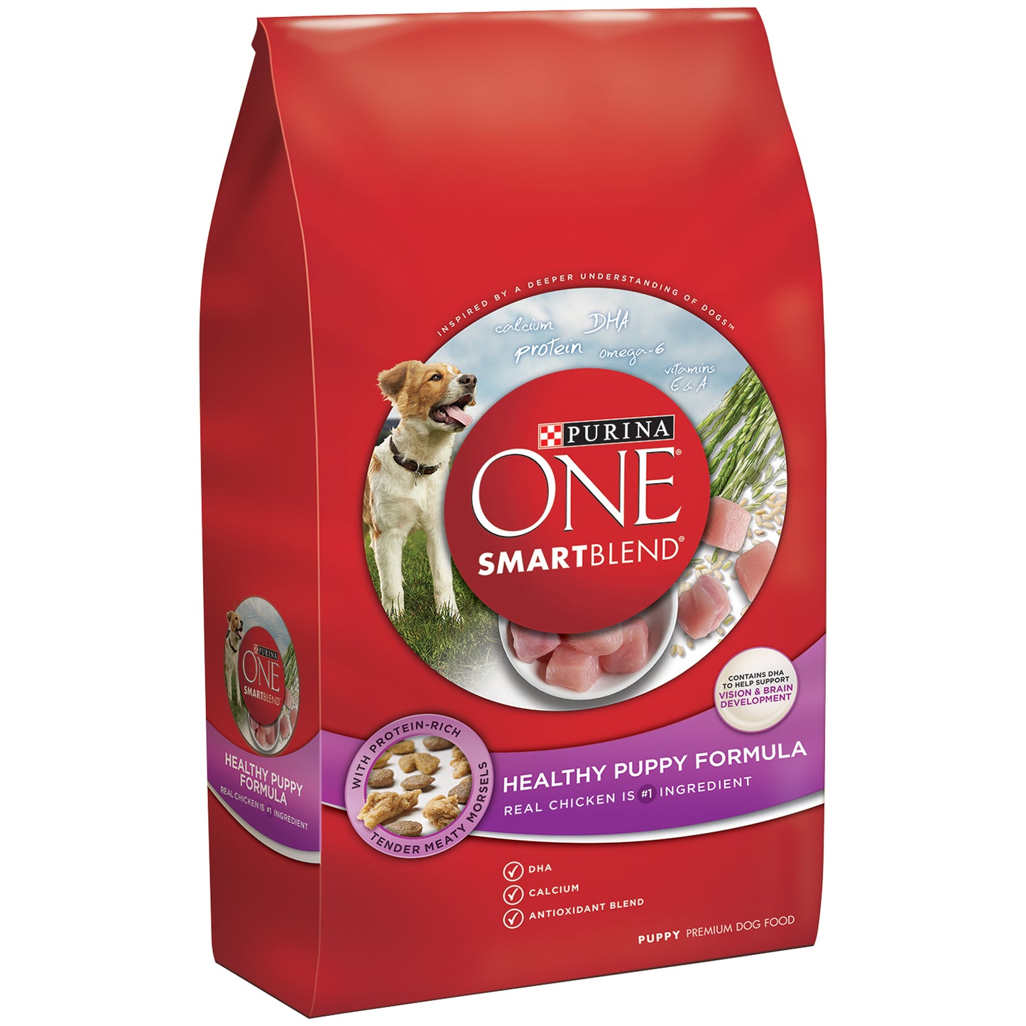 Purina ONE Natural High Protein Healthy Puppy Formula - 8lb