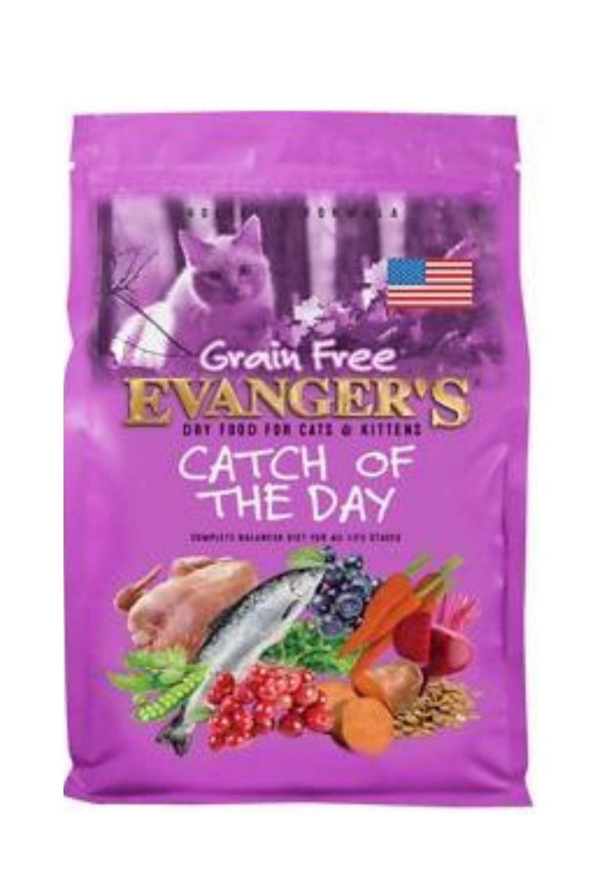 Evanger's Catch of the Day Dry Cat Food, 4.4 lbs.