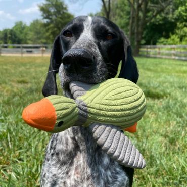 Tall Tails Latex Duck Squeaker Dog Toy, 7 in.