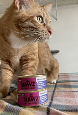 Rawz Immune Support Salmon & Tuna Wet Cat Food